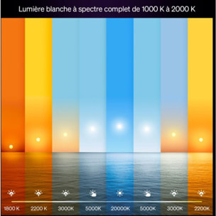 Ampoule LED connectée PHILIPS HUE E27 White&Color Ambiance pack de 2