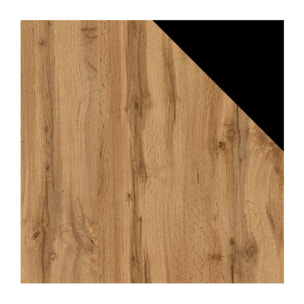 Robin - meuble TV - 2 portes et 2 niches - 120 cm - Noir / Bois et Bois