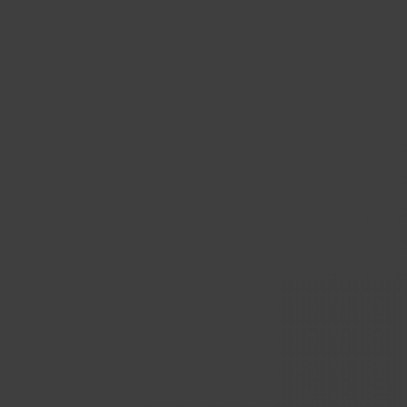 Somier láminas RX Carbon - Con patas