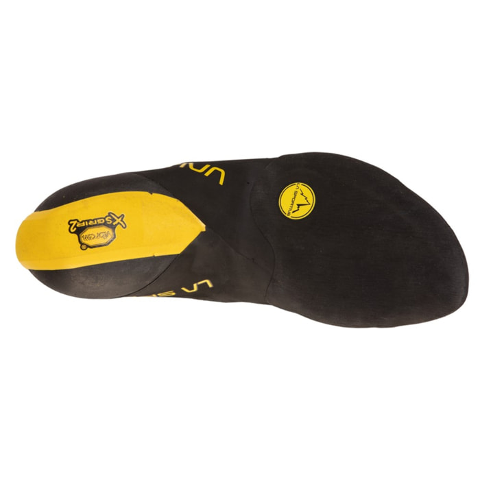 Theory Hombre Pies de Gato Escalada