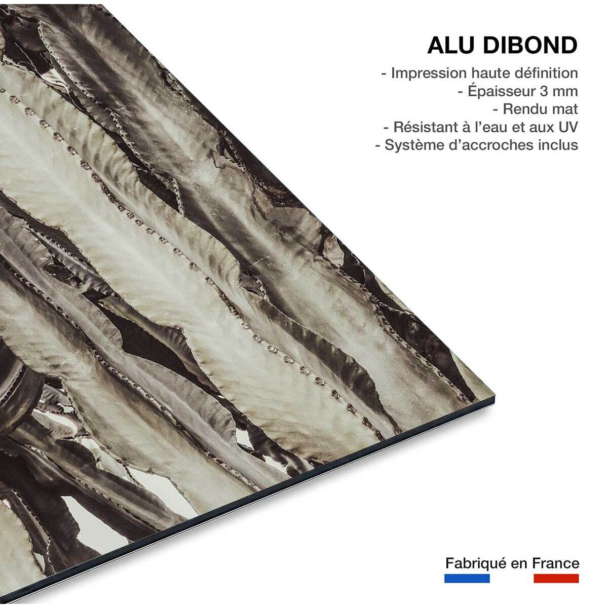 Tableau cactus mood Tableau alu Dibond