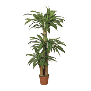 Planta Artificial Drácena 145 Cm