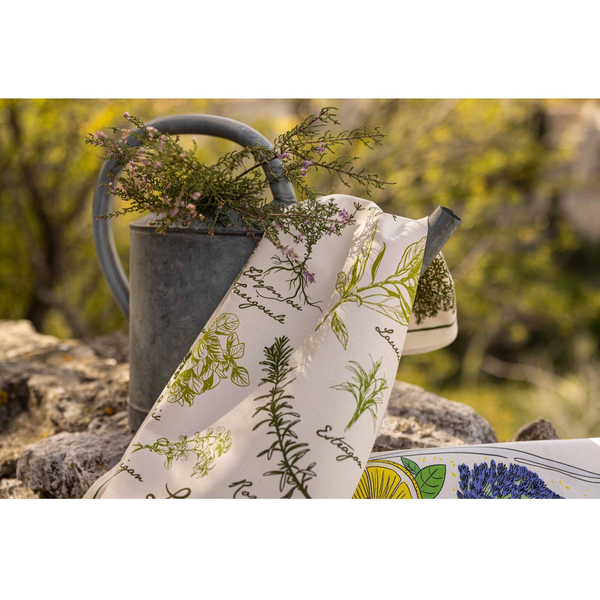 Torchon les herbes de Provence