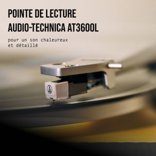 Platine vinyle MARLEY Soul Rebel