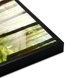 Affiche encadrée forêt lumineuse au soleil Affiche + cadre en métal - Noir