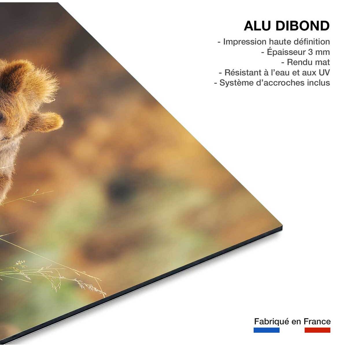 Tableau portrait d'ours Tableau alu Dibond