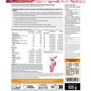 STC NUTRITION - VO2 Max® - Préparation pour boisson énergétique isotonique spécial efforts intenses - Goût Orange - 15 doses - 525 g - Fruits rouges