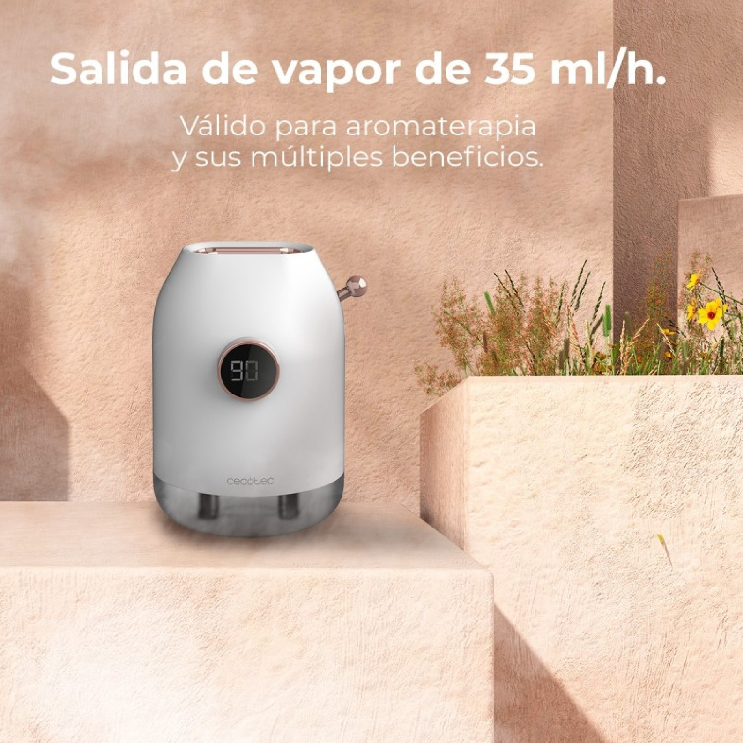 Cecotec Humidificador Difusor de Aromas sin Cables PureAroma 550 Cordless. 5000