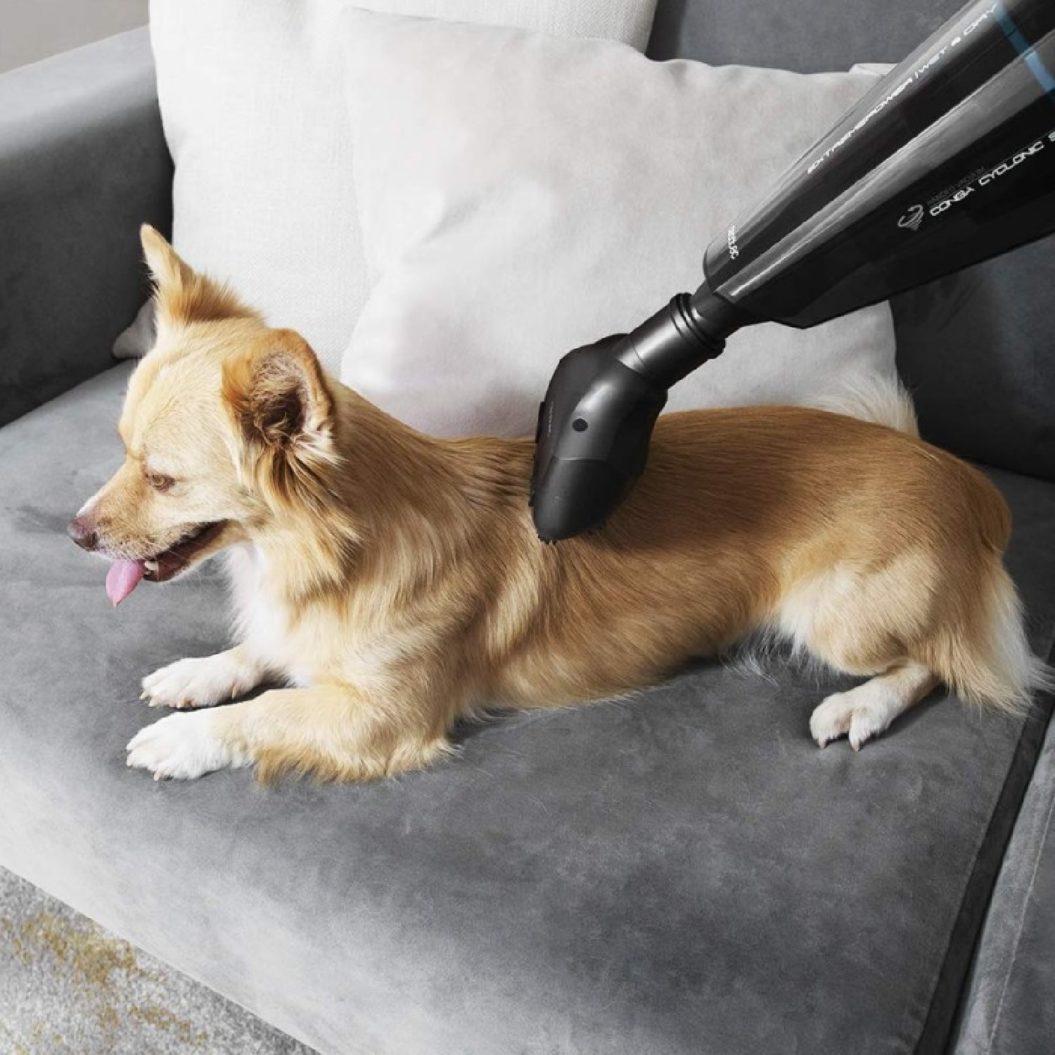 Cecotec Aspirateur à main Conga Immortal ExtremeSuction 22,2 Animal Hand