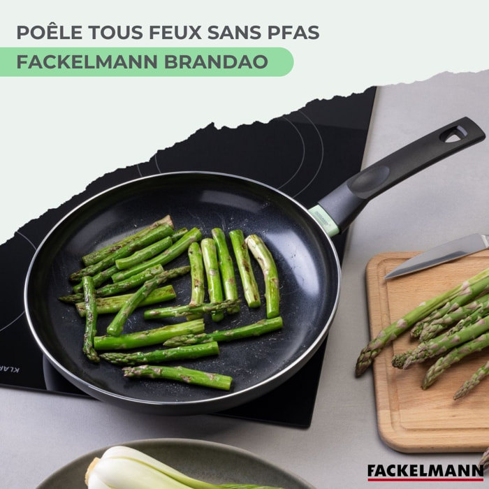Lot 4 Poêles et 3 Casseroles Fackelmann Brandao avec 5 ustensiles