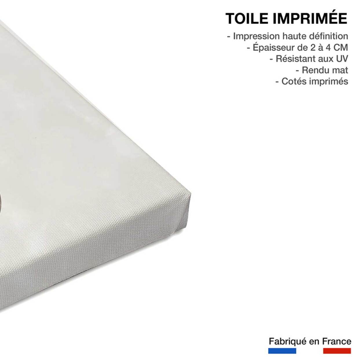 Tableau Lune pleine Toile imprimée