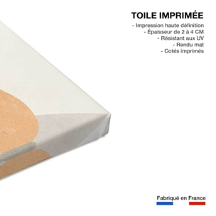 Tableau organique vase et minimalisme  Toile imprimée
