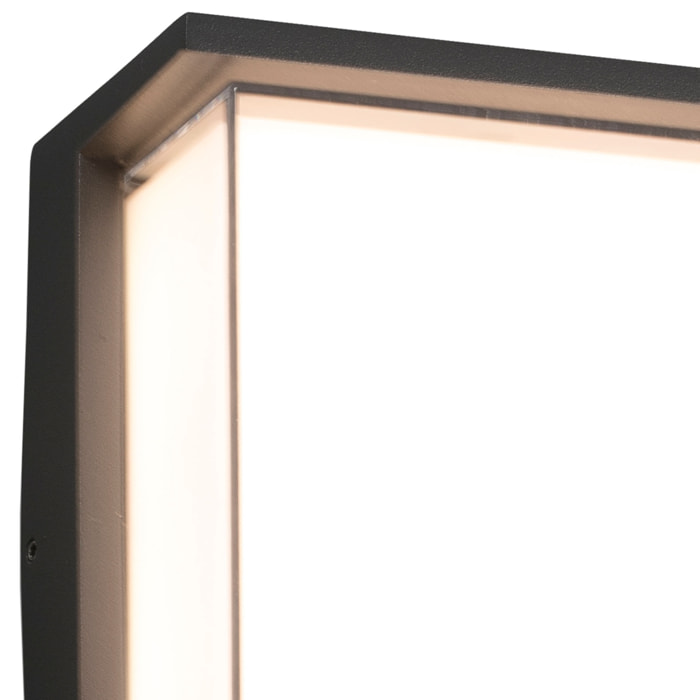 HIKARI LED Lampe applique gris foncé