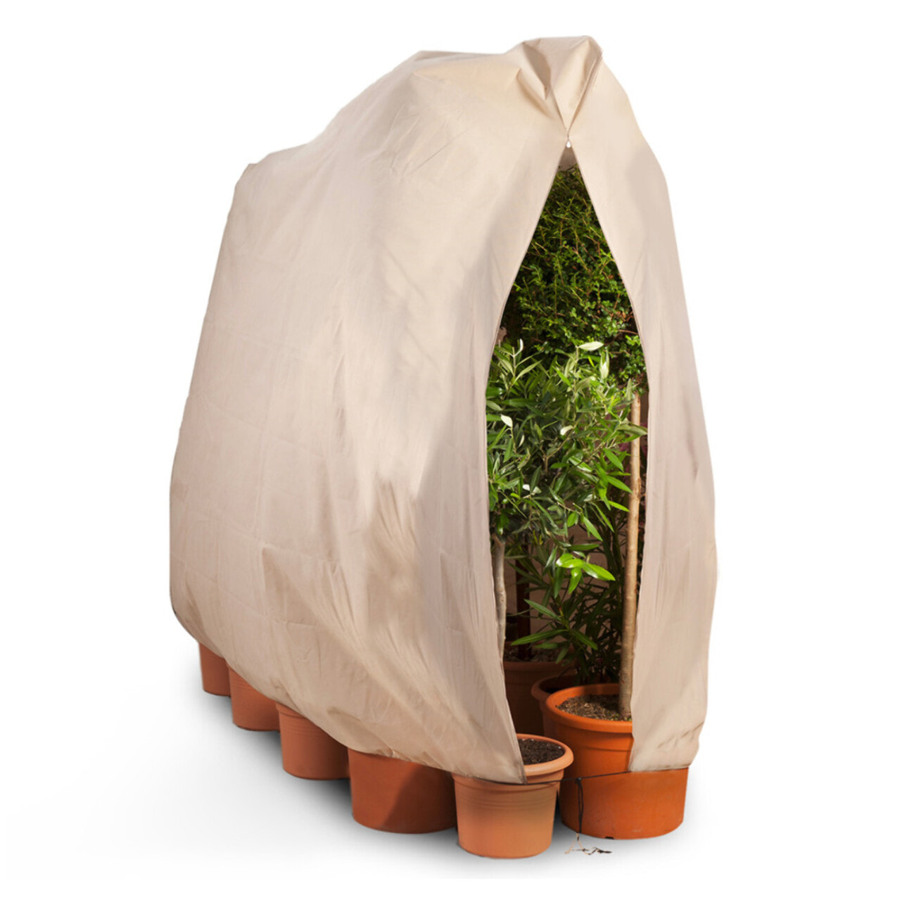 Housses d'hivernage pour plantes