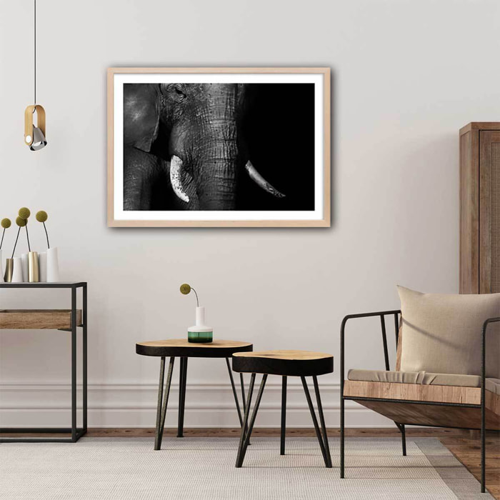 Affiche animaux éléphantloxodonta africana Affiche sous cadre bois