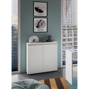 Scarpiera Astrina, Mobile multiuso, Porta scarpe salvaspazio a 2 ante, Armadio portaoggetti con scaffali, 100% Made in Italy, 80x37h102 cm, Bianco
