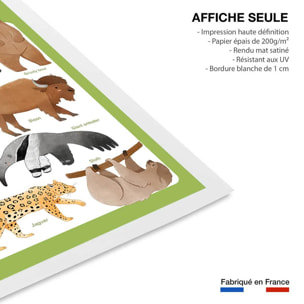 Affiche enfant animaux d'amérique  Affiche seule