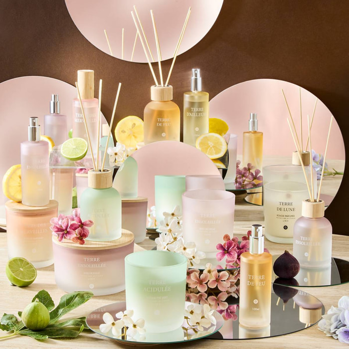 Bougie parfumée 255 g Sana bois de figue