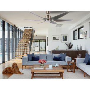 Ventilador de techo DC plata con aspas de 166cm y luz para 60m2 URIKAINE SILVER KLASSFAN