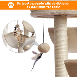 Arbre à chats multi-équipements griffoirs grattoirs plates-formes + tunnel + jouet suspendu dim. 50L x 40l x 105H cm beige