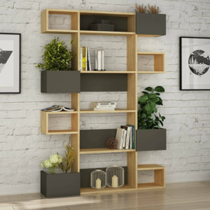 Libreria Artich, Scaffale da ufficio, Mobile portalibri, Biblioteca, 120x20h171 cm, Quercia e Antracite