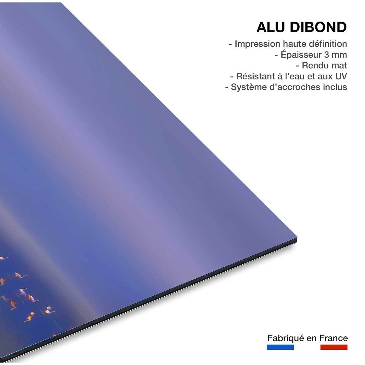 Tableau Flamants Tôt le matin Tableau alu Dibond