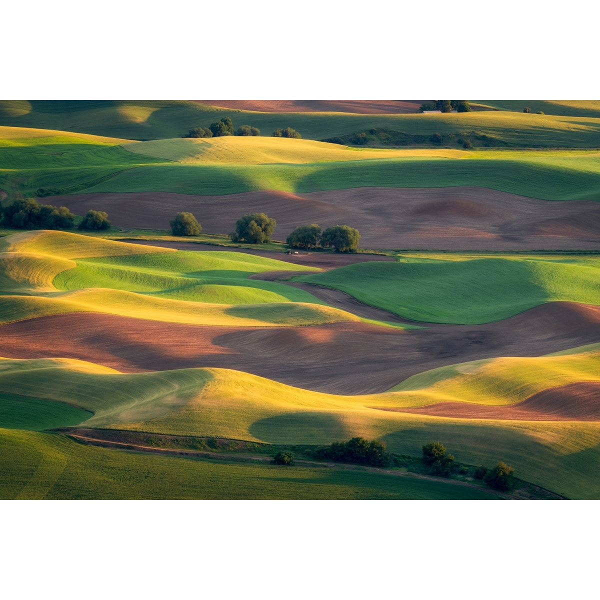 Tableau Colline colorée Toile imprimée