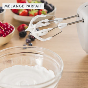 Batteur MOULINEX Easy Max HM262BF0