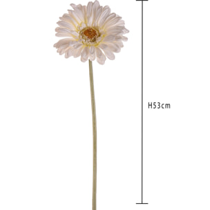 Fiore Di Gerbera. Altezza 53 Cm - Pezzi 24 - 10X53X10cm - Colore: Bianco - Bianchi Dino - Fiori Artificiali