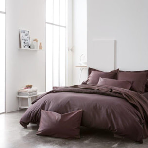 Housse De Couette 100 % coton Cacao