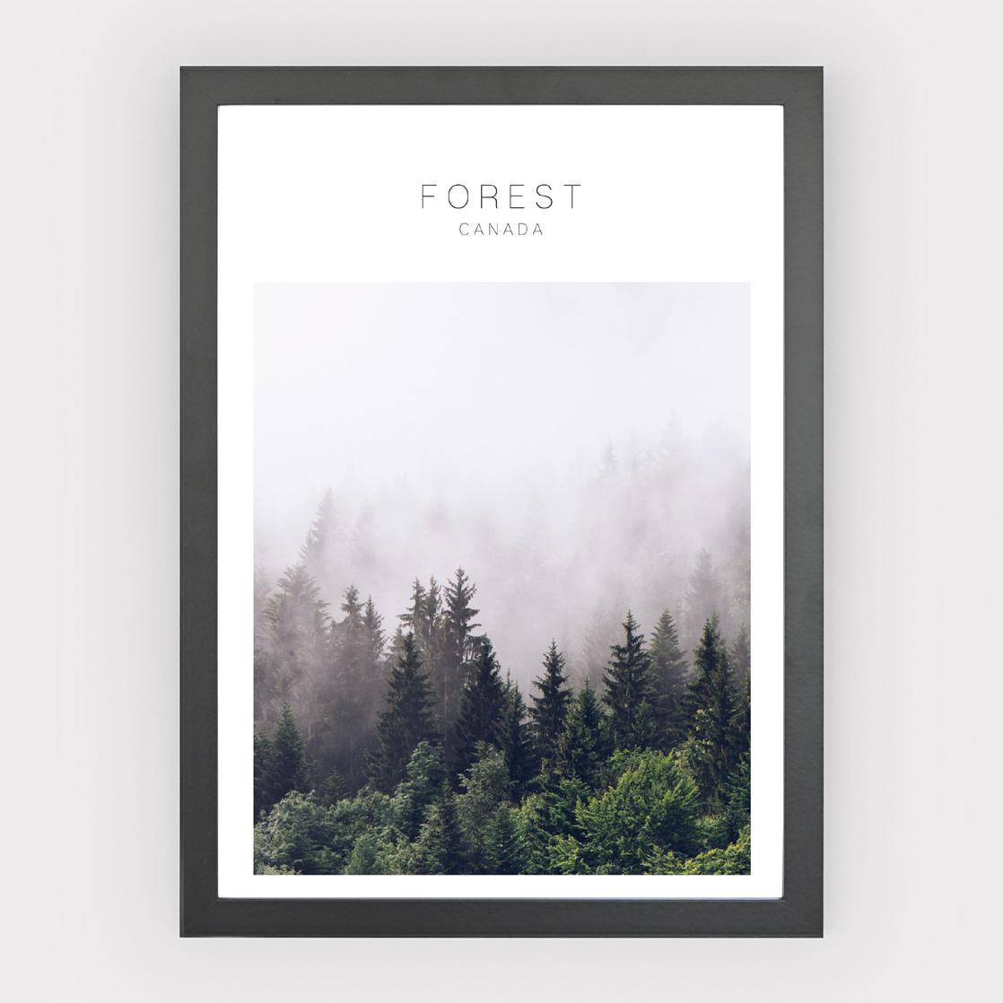 Poster Forest Canada