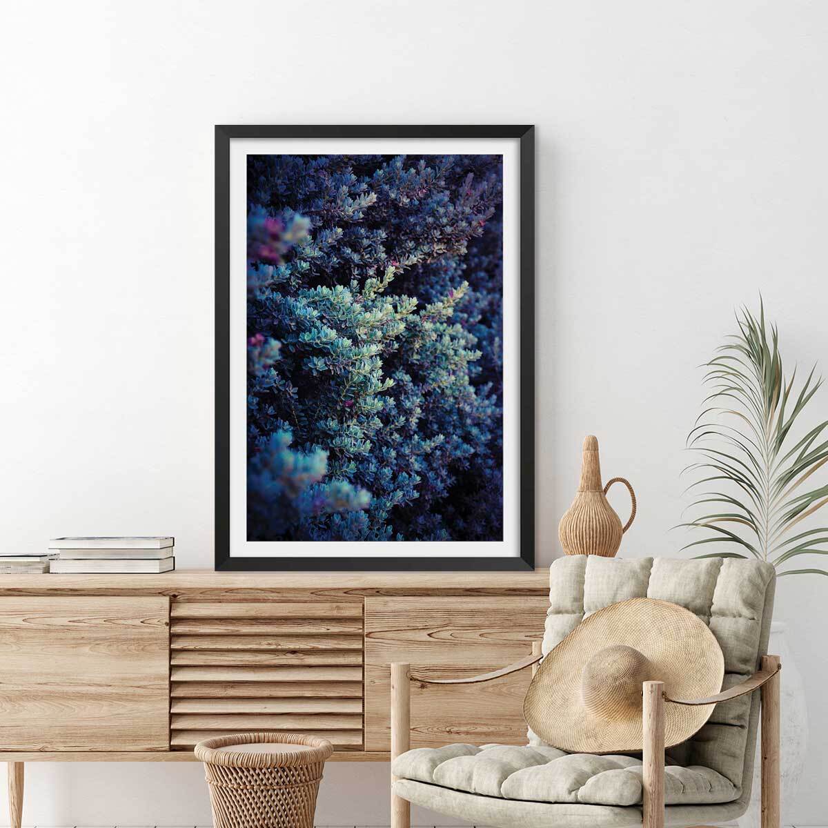 Affiche photo Tableau macro plante grasse collector Affiche sous cadre noir