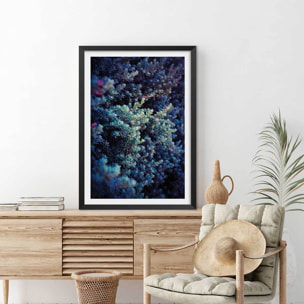 Affiche photo Tableau macro plante grasse collector Affiche sous cadre noir