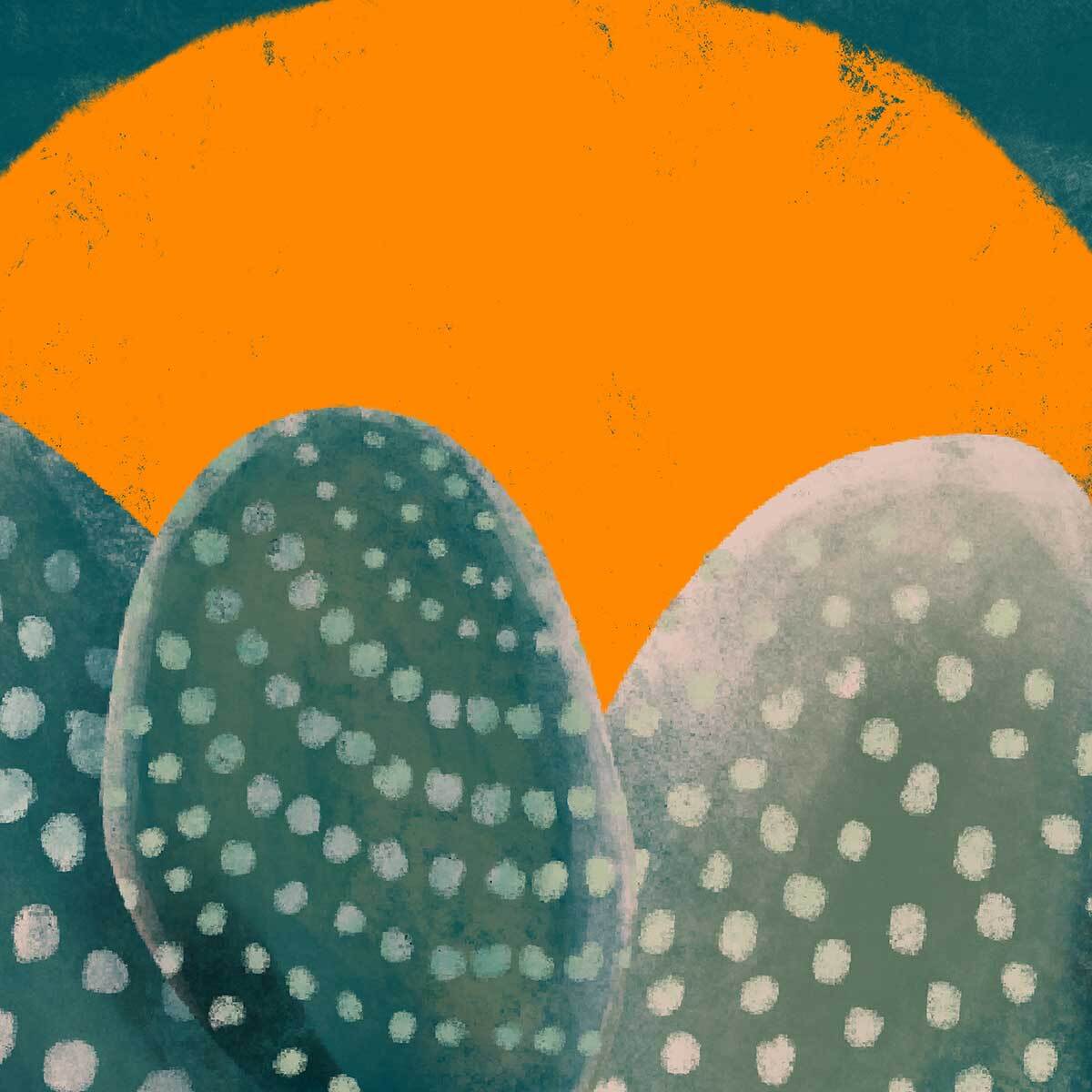 Affiche illustration cactus et soleil orange Affiche sous cadre bois