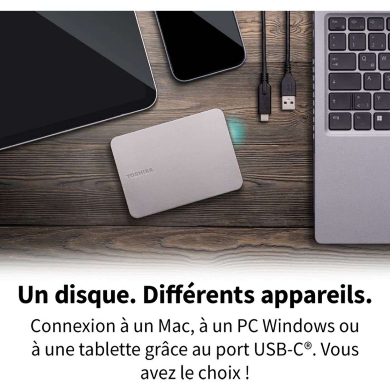 Disque dur externe TOSHIBA 2To Canvio Flex Silver USBC A