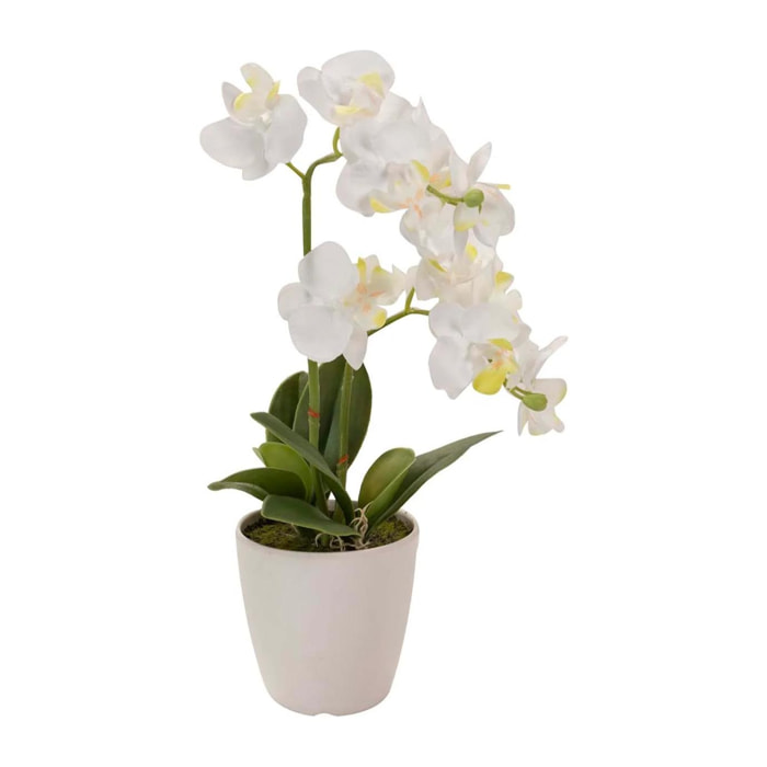 Orquidea Poliester Blanca Con Maceta 20x20x36 Cm