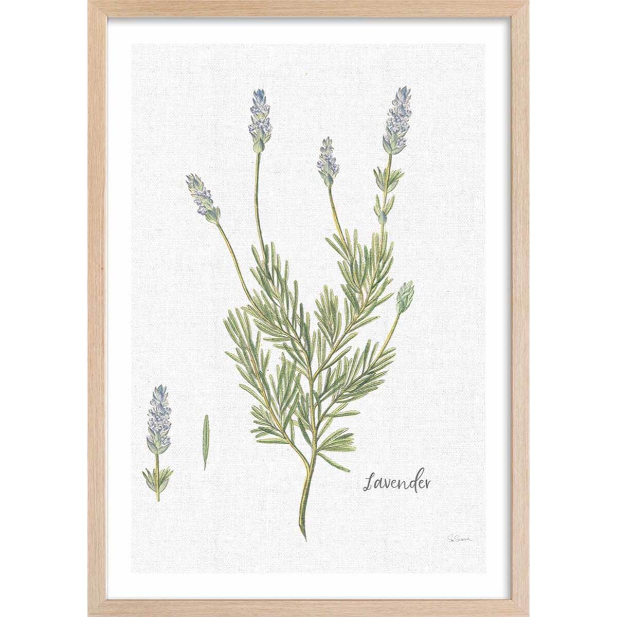 Affiche fleurs Lavande illustrée Affiche + cadre en bois - Chêne