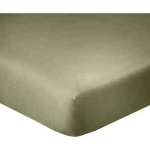 Drap housse coton verveine