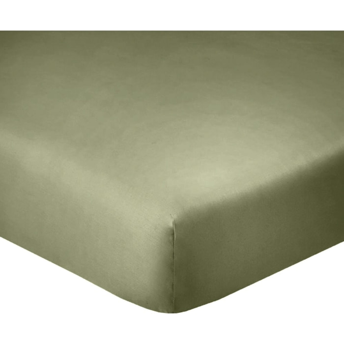 Drap housse coton verveine