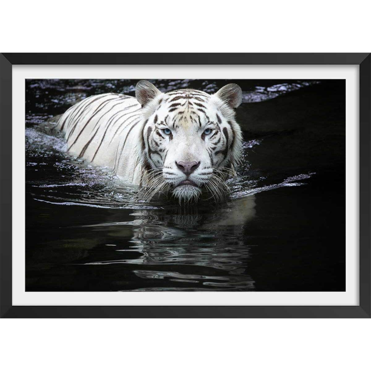 Affiche tigre Regarde moi... Affiche + cadre en bois - Noir