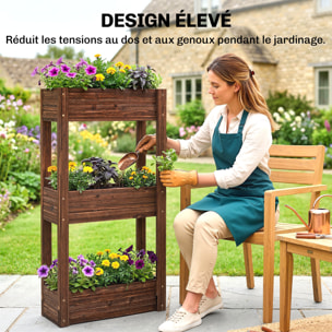 Jardinière bois traité carbonisation 3 niveaux dim. 60 x 25 x 120 cm