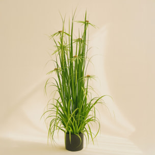Plante graminée avec fleurs artificielle h150cm AQUAPLANTER