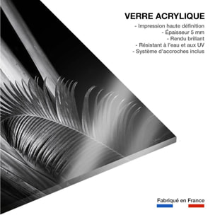 Tableau fleurs Marbella palm Tableau plexiglas