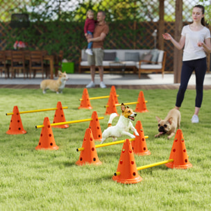 Set d'obstacles agility 12 cônes 6 piquets pour chien sac transport inclus