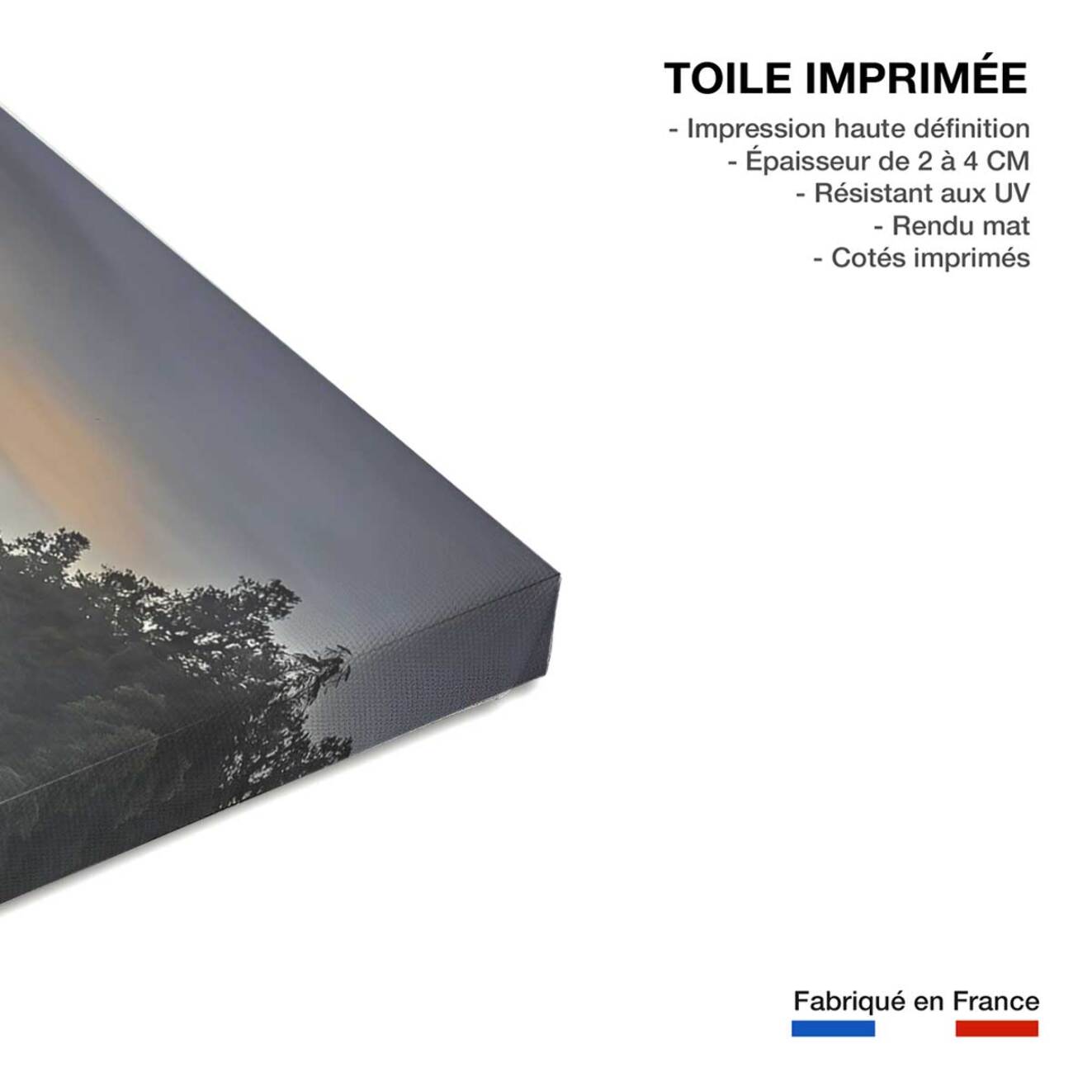 Tableau matin enneigé Toile imprimée