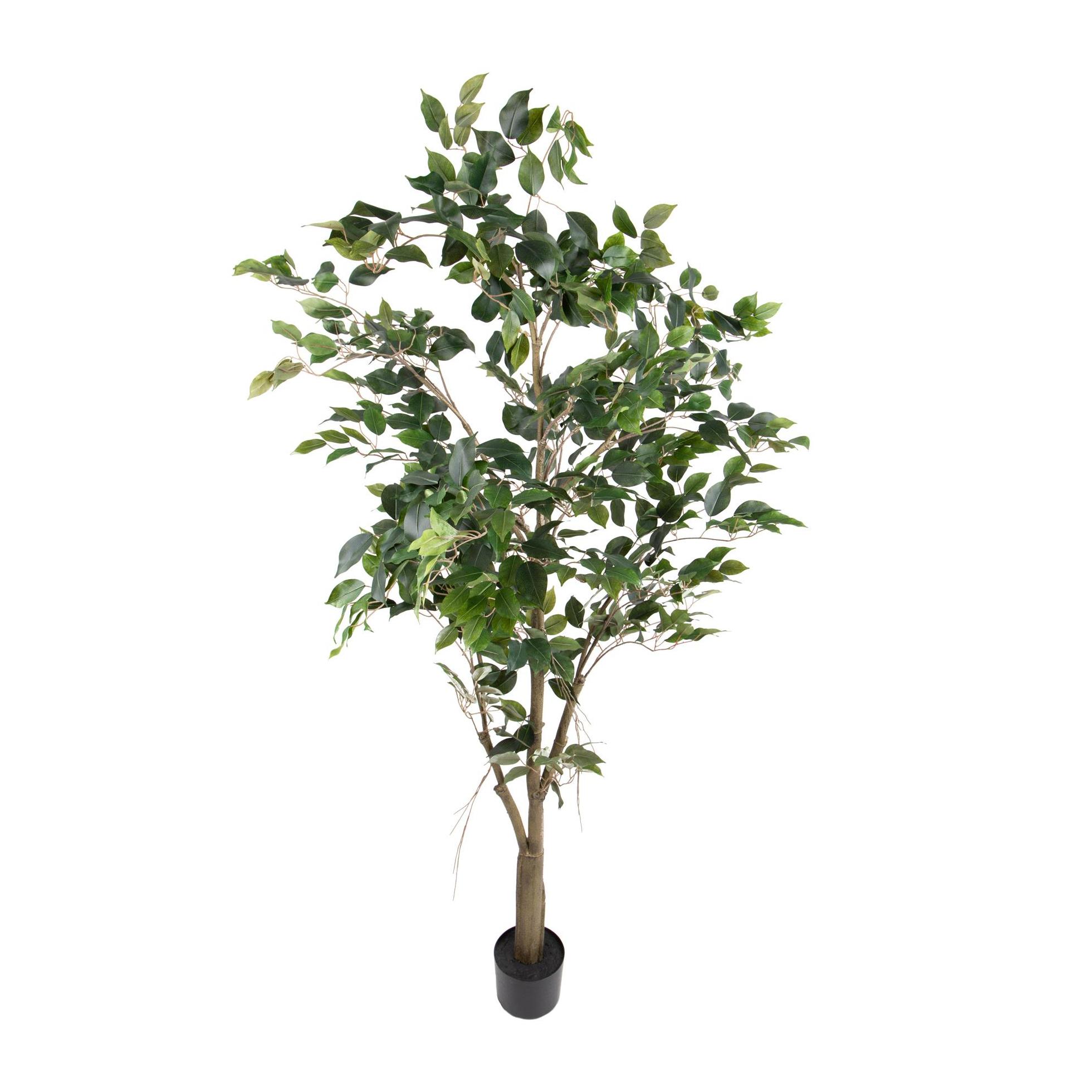 Ficus con Vaso H.183 Cm - Pezzi 1 - 183X61X61cm - Colore: Verde - Bianchi Dino - Piante Artificiali