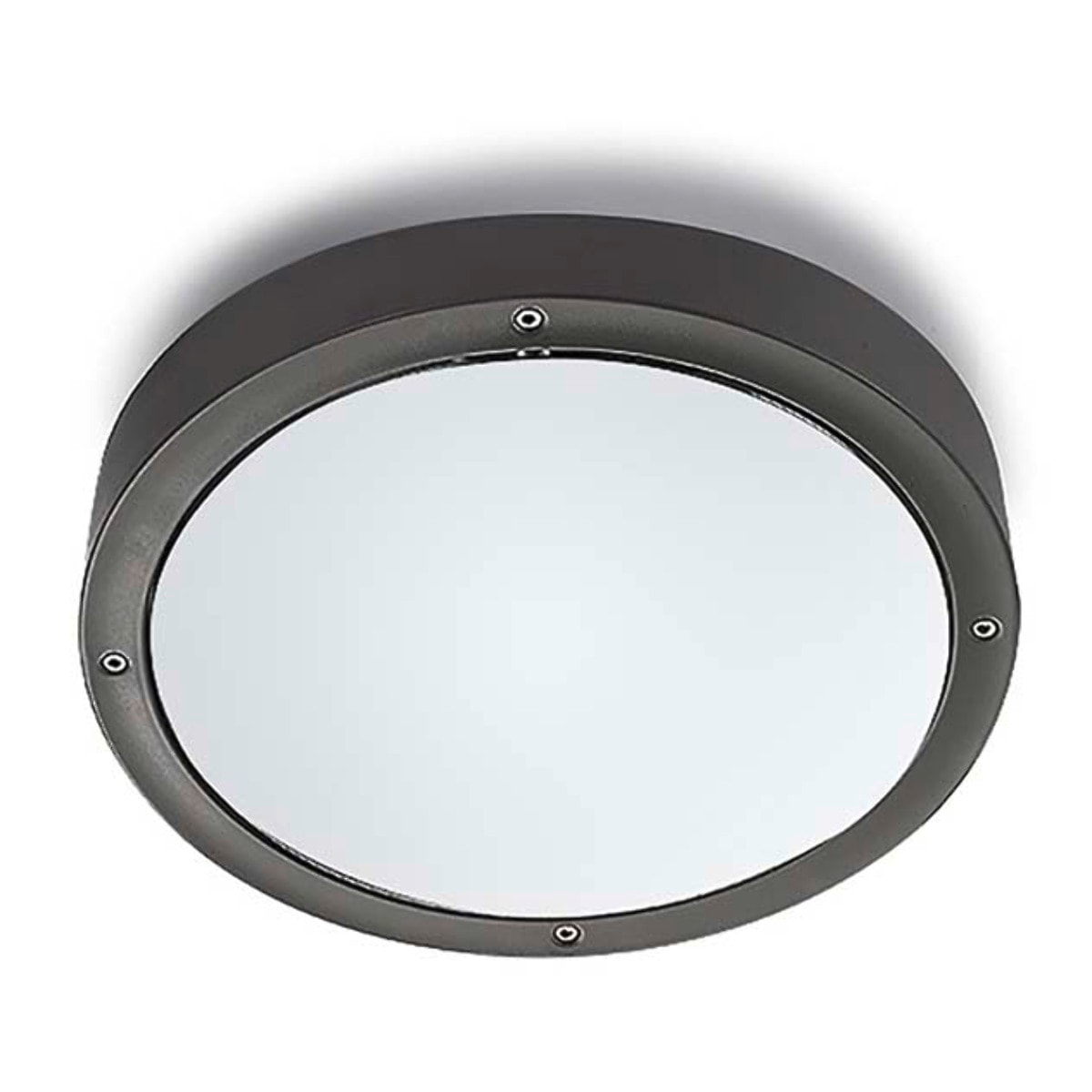 LEDS C4 Plafon Ip66 Basic Aluminium Ø260Mm E27 15W Gris Urbano 523Lm