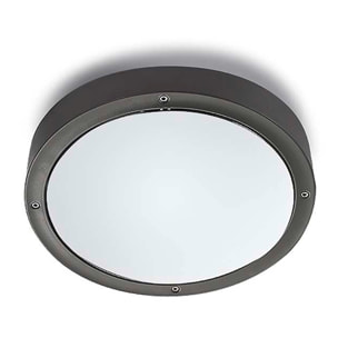 LEDS C4 Plafon Ip66 Basic Aluminium Ø260Mm E27 15W Gris Urbano 523Lm