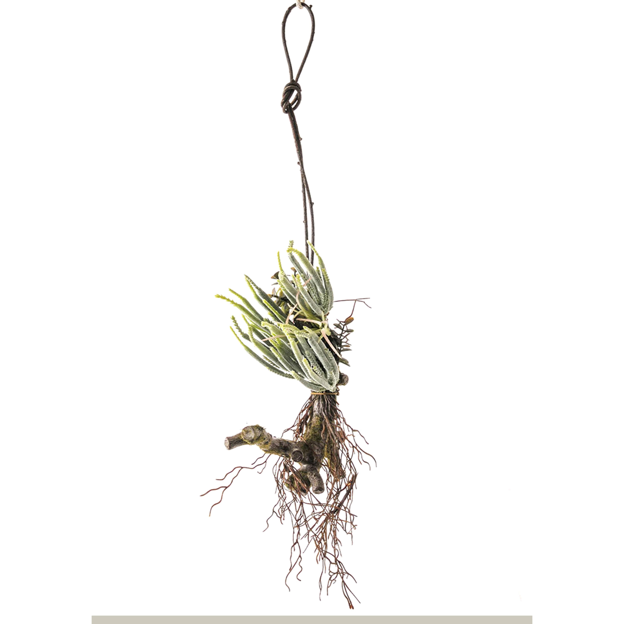 Tillandsia Con 16 Foglie. Altezza 50 Cm - Pezzi 1 - 25X50X13cm - Colore: Verde - Bianchi Dino - Piante Artificiali