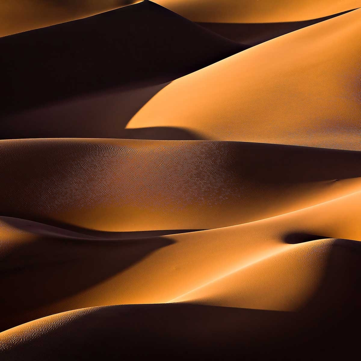 Affiche paysage dune et lumière Affiche sous cadre noir